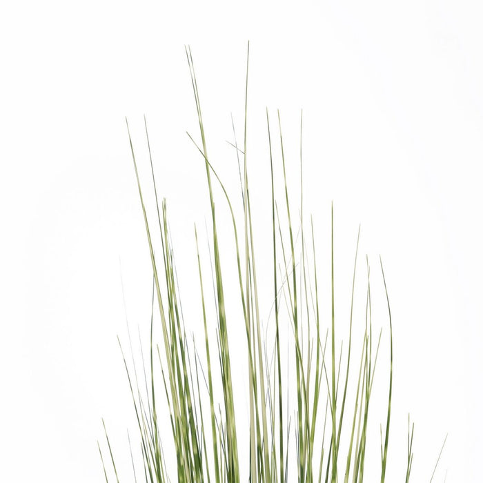 Plantă decorativă PVC Oțel Цимент 152 cm 15,5 x 15,5 x 15,5 cm