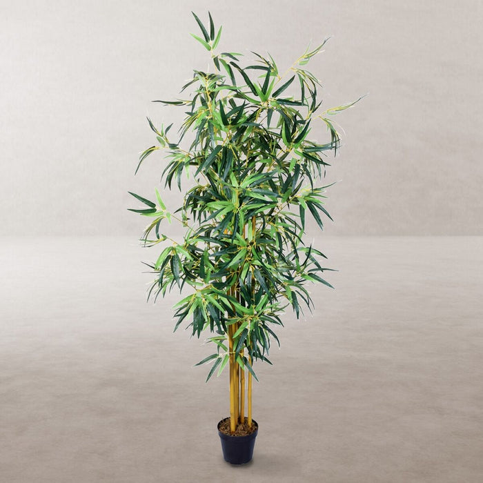 Plantă decorativă Цимент Țesătură Bambus 150 cm