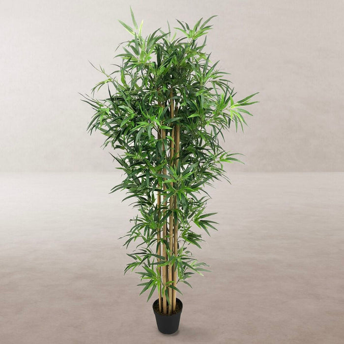Plantă decorativă Цимент Țesătură Bambus 180 cm