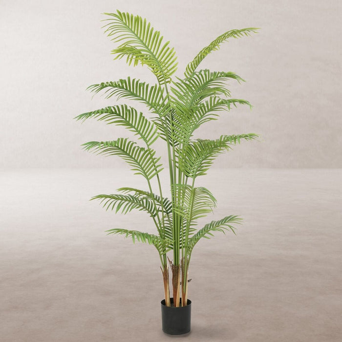 Plantă decorativă Poliuretan Цимент Areca 180 cm