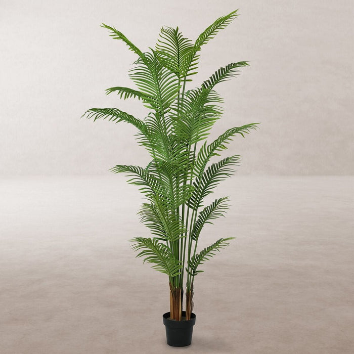 Plantă decorativă Poliuretan Цимент Areca 210 cm