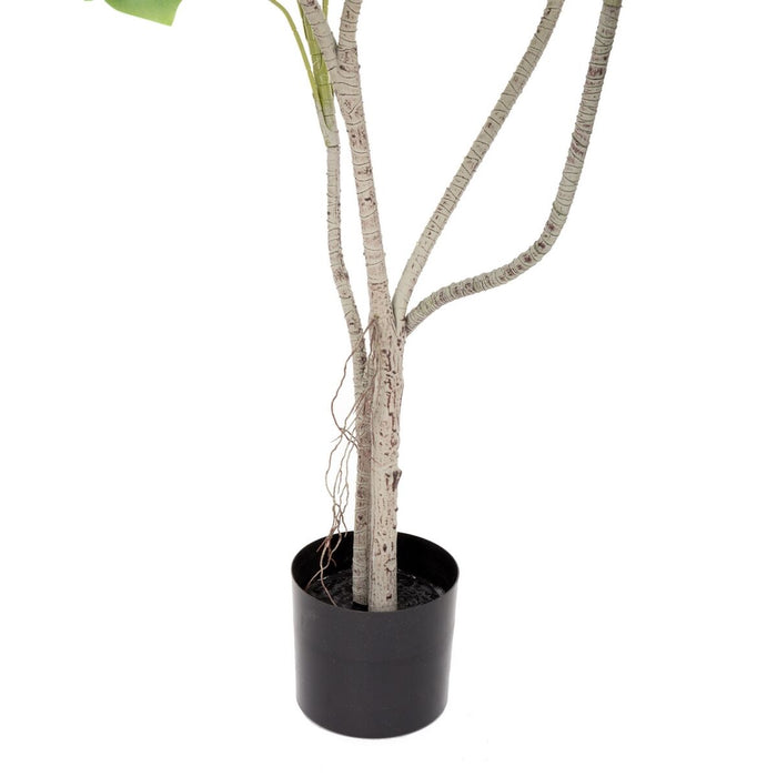 Plantă decorativă Poliuretan Цимент Monstera 180 cm