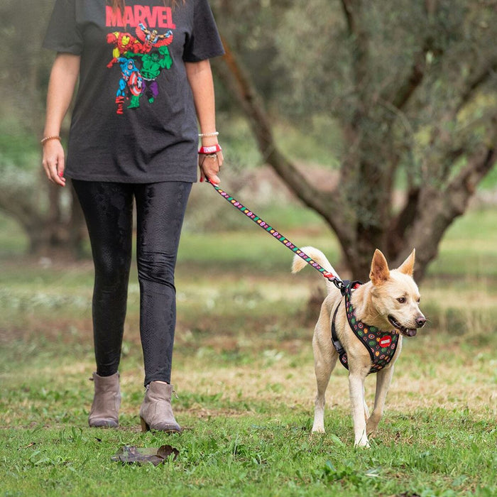 Lesă pentru câine Marvel Roșu