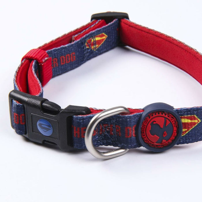Zgardă pentru câini DC Pets Albastru XS/S