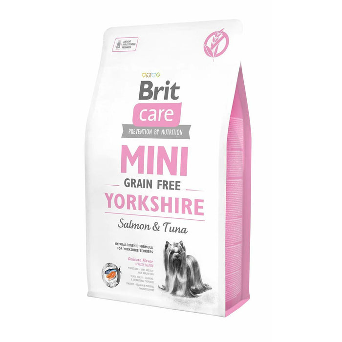 Nutreț Brit   Adult Somon Ton 2 Kg