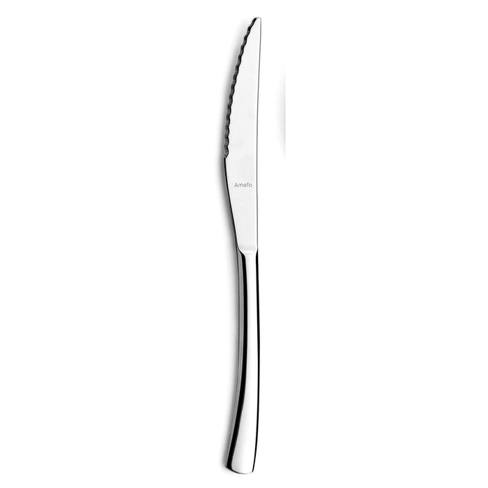 Set de cuțite pentru carne Amefa Havane Metal Oțel inoxidabil 12 Unități