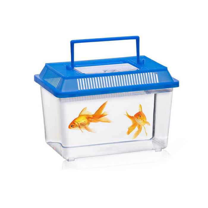 Cutie pentru insecte Lifetime