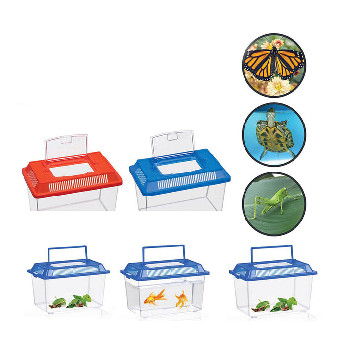 Cutie pentru insecte Lifetime