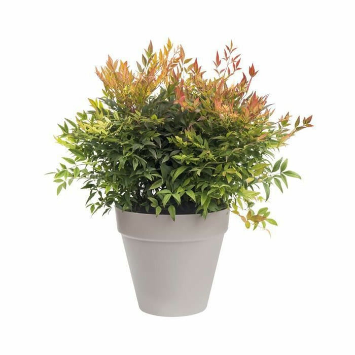Ghiveci Elho Loft Urban Rotundă Gri Ø 40 cm