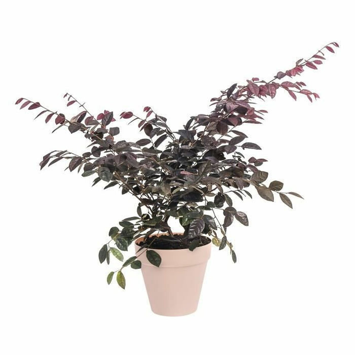 Ghiveci Elho Loft Urban Albastru Rotundă Ø 40 cm