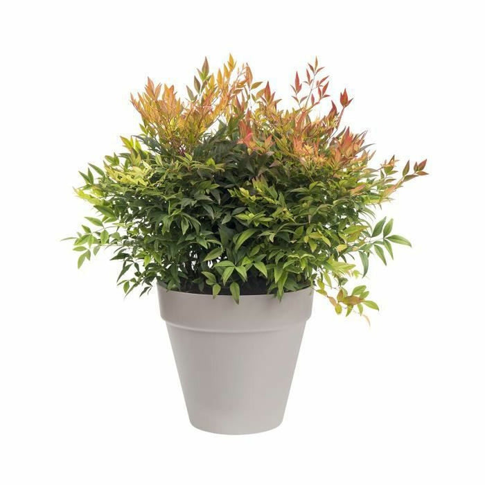 Ghiveci Elho Loft Urban Gri Rotundă Ø 50 cm