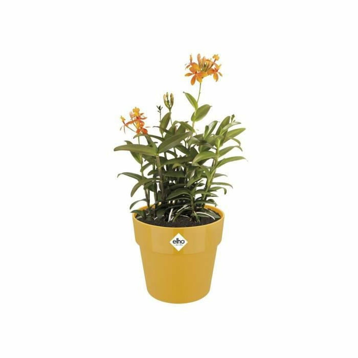 Ghiveci Elho 9262302511800 Ocru Plastic Rotund Ø 24,7 x 23,2 cm