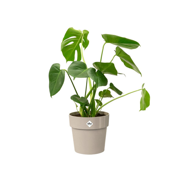 Ghiveci Elho B. For Original Gri Ø 35 cm Rotund Plastic