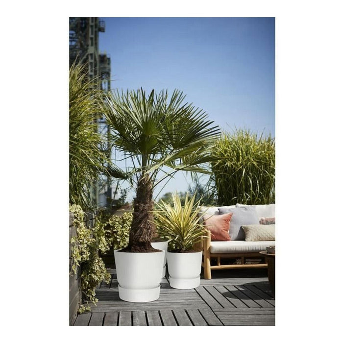 Ghiveci Elho Greenville Rotundă Alb Plastic (Ø 29,5 x 27,8 cm)