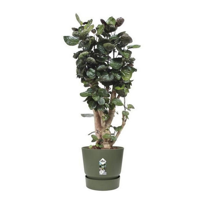 Ghiveci Elho Greenville Ø 39 x 36,8 cm Verde
