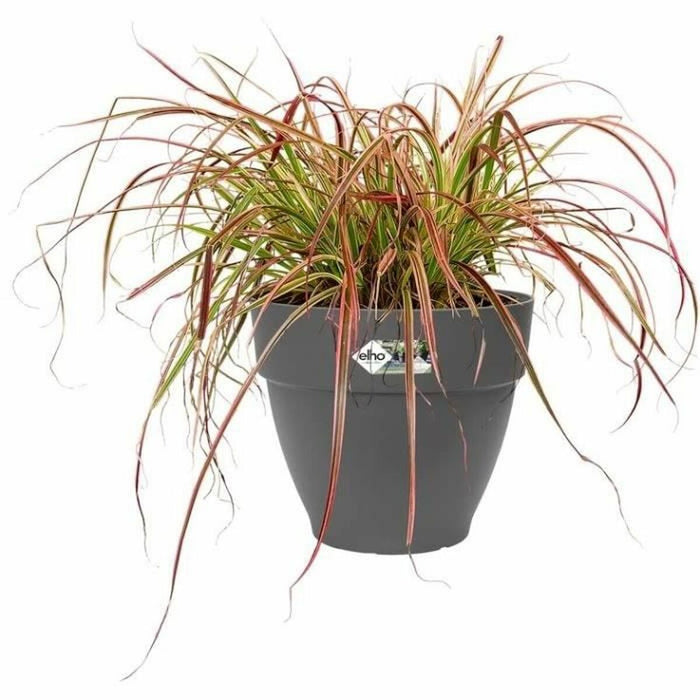 Ghiveci Elho   Rotundă Plastic Ø 18 cm