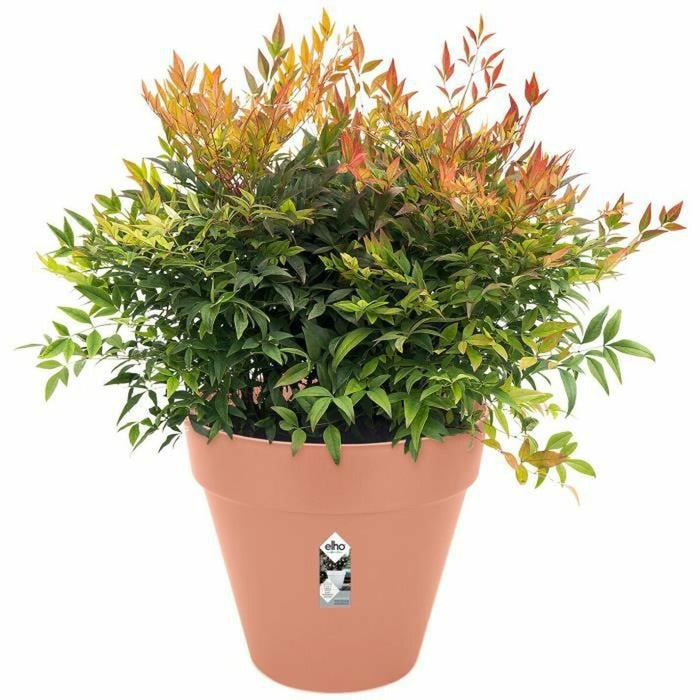 Ghiveci Elho   Rotundă Alb Plastic Ø 30 cm