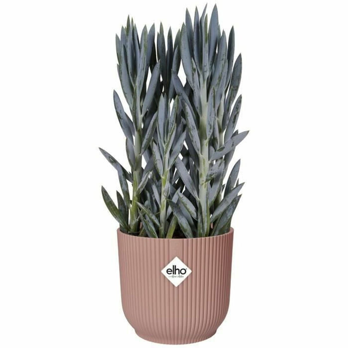 Ghiveci Elho Roz Plastic Rotund Rotundă Modern Ø 25 cm