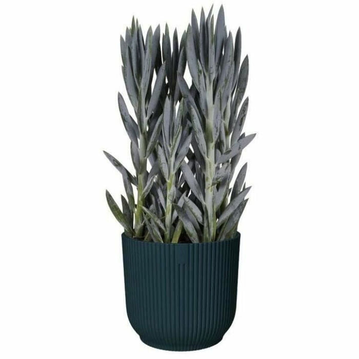 Ghiveci Elho   Plastic Rotundă Ø 45 cm