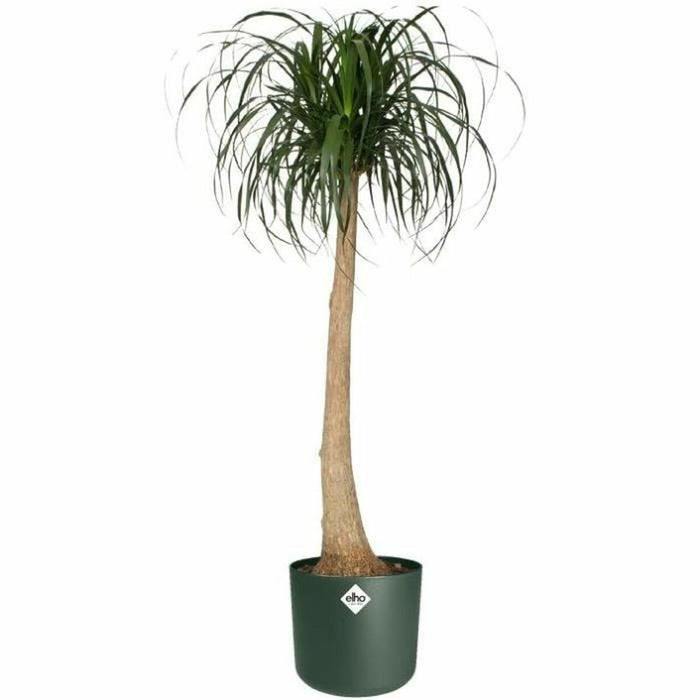 Ghiveci Elho   Ø 25 cm Verde Plastic Rotundă