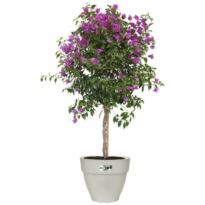 Ghiveci Elho   Rotundă Alb Plastic Ø 40 cm