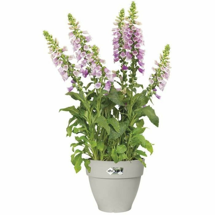 Ghiveci Elho   Rotundă Alb Plastic Ø 40 cm