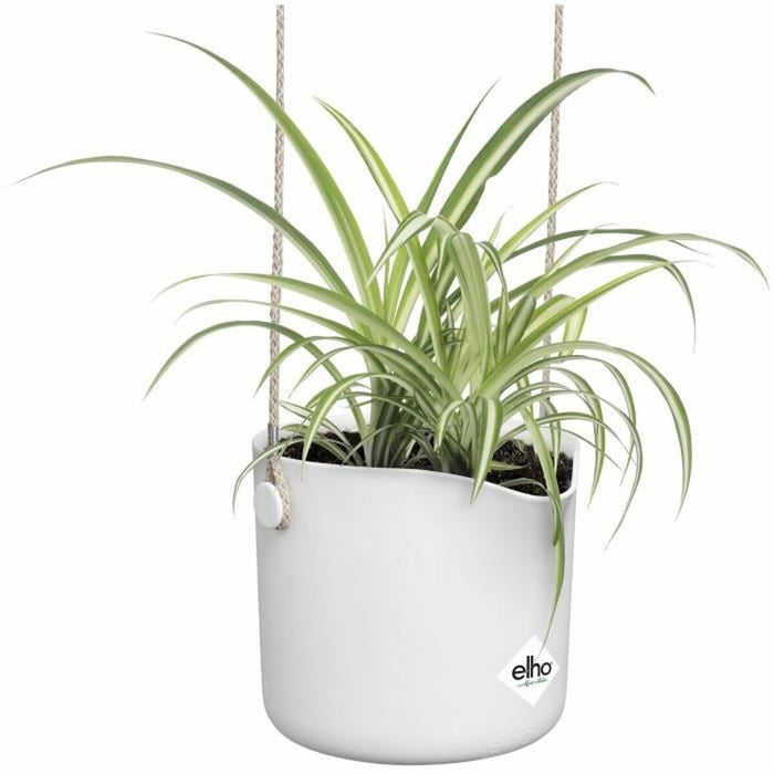 Jardinieră suspendată Elho   Alb Plastic Ø 18 cm