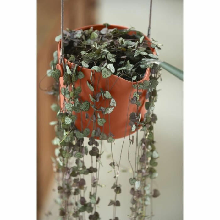 Jardinieră suspendată Elho   Plastic Ø 30 cm