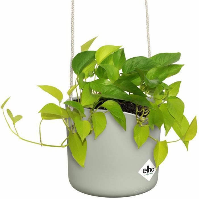 Jardinieră suspendată Elho   Verde Plastic Ø 18 cm