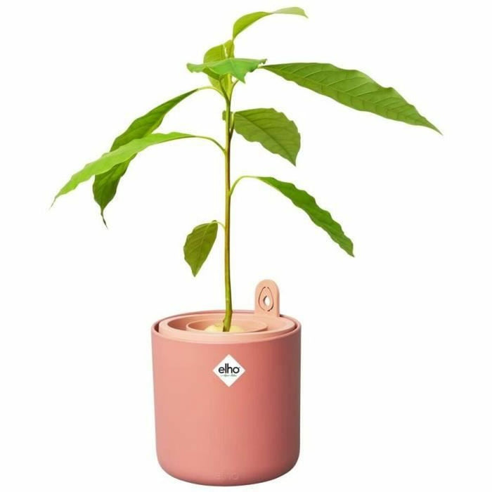 Ghiveci Elho Amazing Avocado Plastic Ø 16 cm
