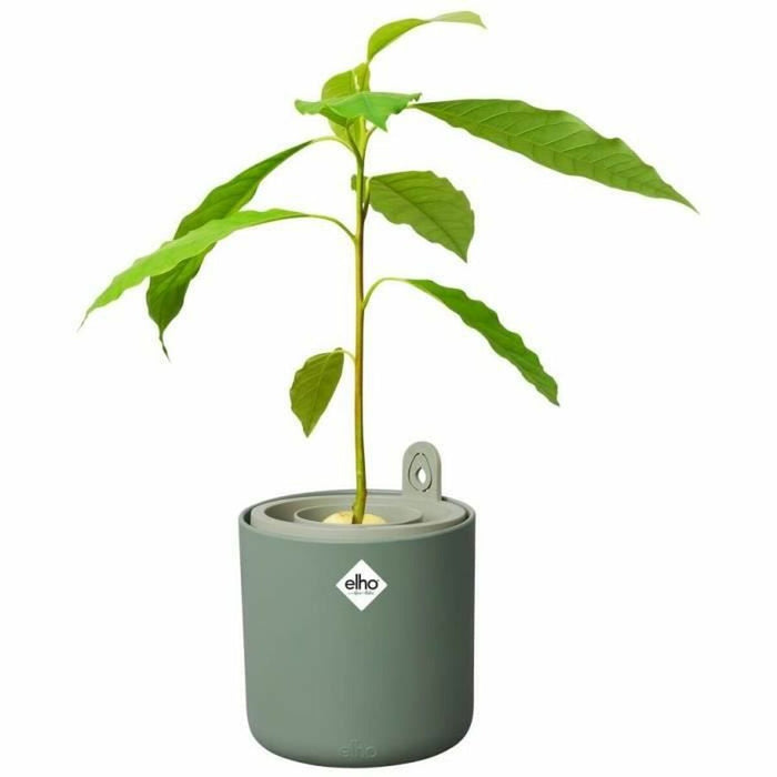 Ghiveci Elho Amazing Avocado Rotundă Verde Plastic Ø 16 cm