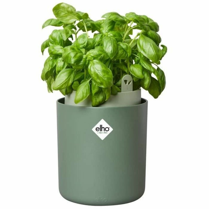 Ghiveci Elho Bouncy Basil  Rotundă Verde Plastic Ø 16 cm