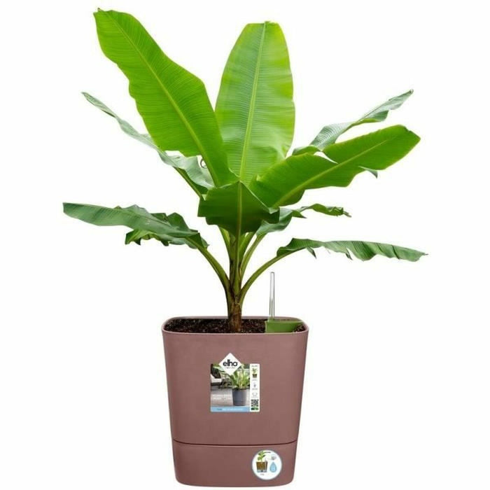 Ghiveci cu auto-udare Elho   Maro Plastic Ø 30 cm