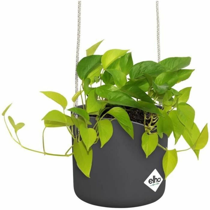 Jardinieră suspendată Elho   Negru Antracit Plastic Ø 18 cm