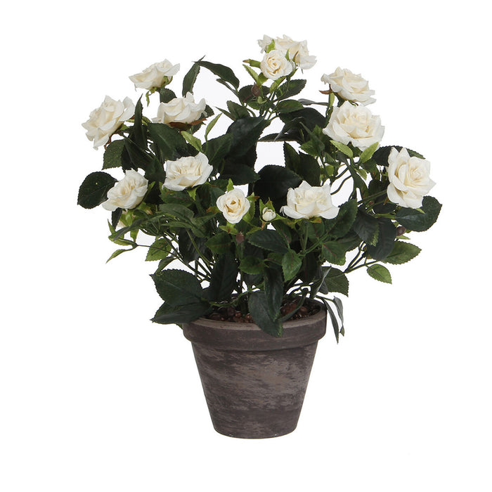Plantă decorativă Mica Decorations Rosal Ceramică PVC