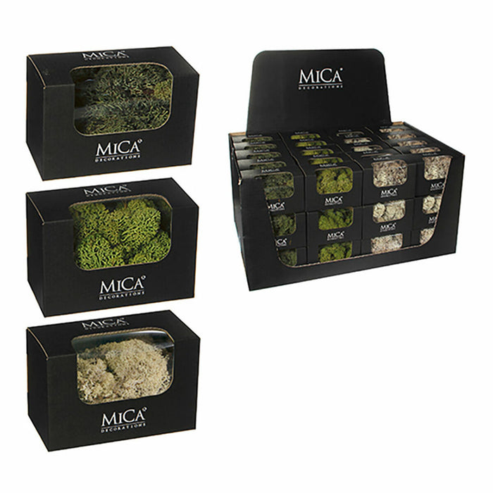 Plantă decorativă Mica Decorations 50 g Mușchi