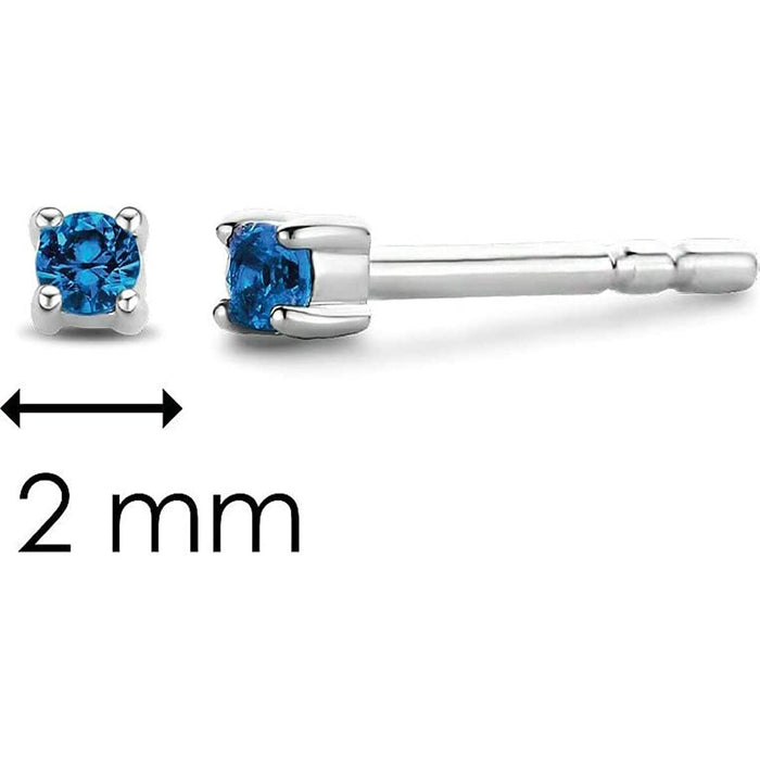 Cercei Damă Ti Sento 2780704