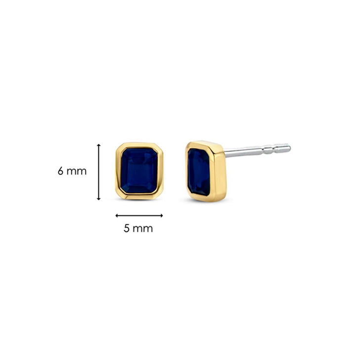 Cercei Damă Ti Sento 7893BY