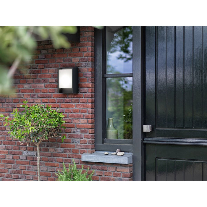 Aplică LED Philips Arbour 6W Antracit 600 lm (4000K)