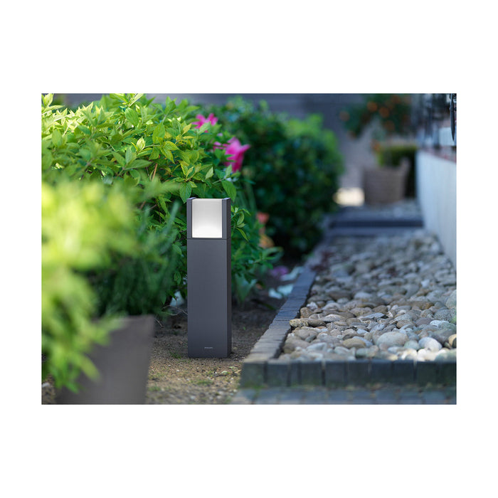 Marcaj Philips Arbour Antracit