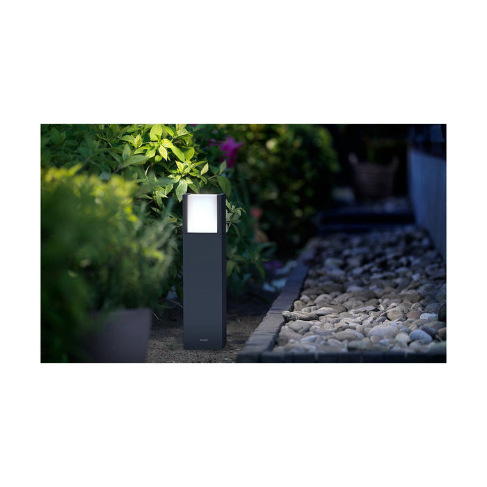 Marcaj Philips Arbour Antracit