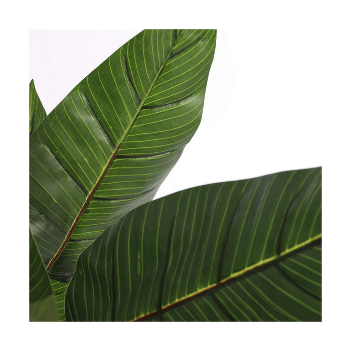 Plantă decorativă Mica Decorations (60 x 110 cm)