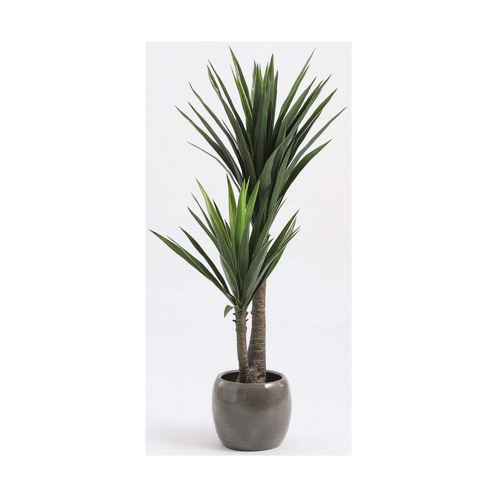 Plantă decorativă Mica Decorations Yucca (120 x 60 cm)