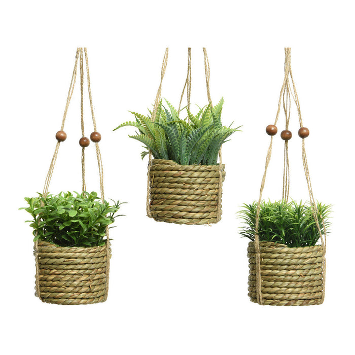 Plantă decorativă Everlands 8 x 12 cm Pandantiv Въже Verde PVC
