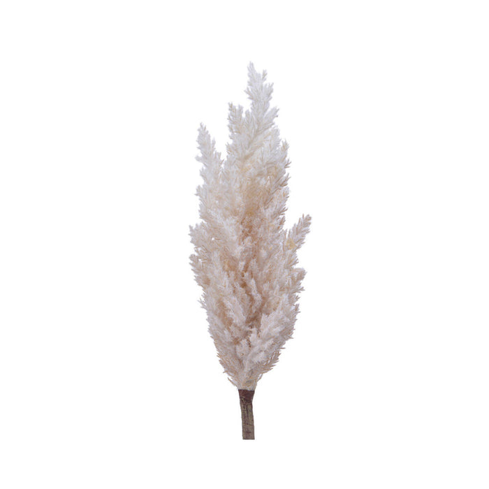 Plantă decorativă Everlands Pampas (Ø 9 x 90 cm)