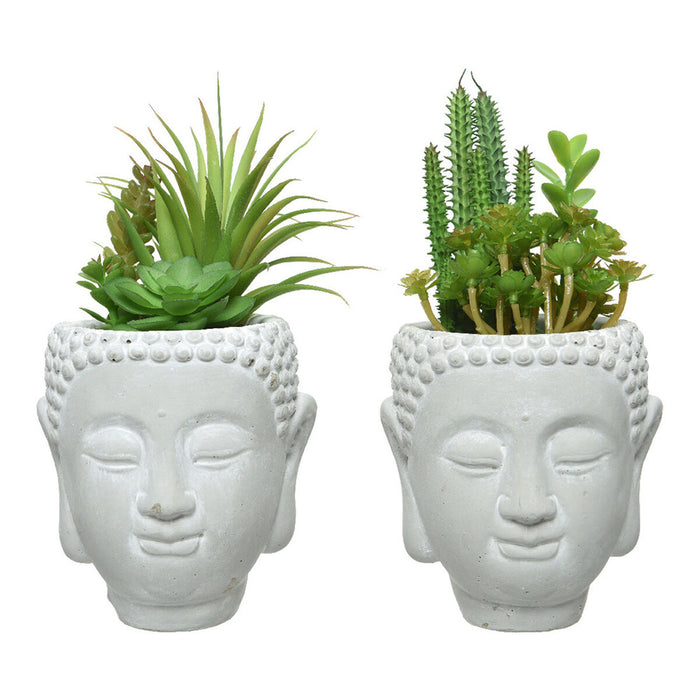 Plantă decorativă PVC Ceramică Suculent
