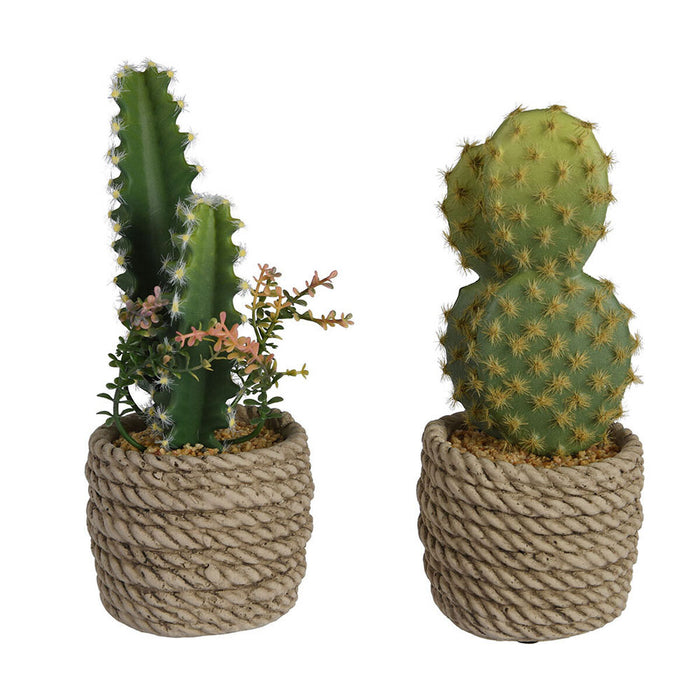 Plantă decorativă EDM 808447 Cactus 28 cm