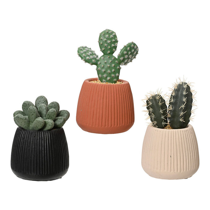 Plantă decorativă EDM 808448 Cactus 14 cm