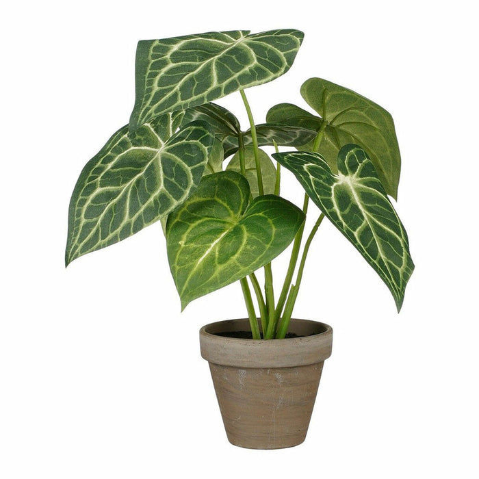 Plantă decorativă Mica Decorations Caladium Ø 21 x 28 cm Artificial