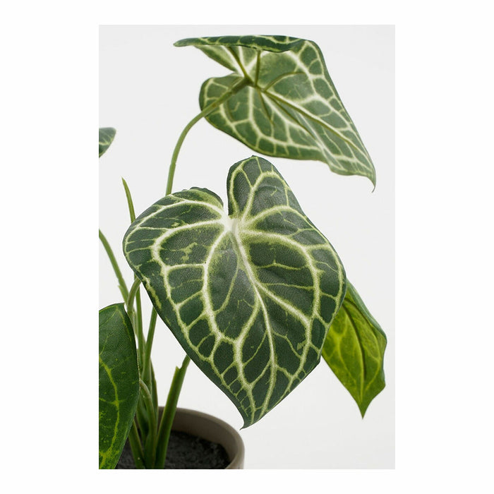 Plantă decorativă Mica Decorations Caladium Ø 21 x 28 cm Artificial